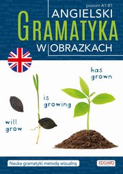 Angielski Gramatyka w obrazkach, 