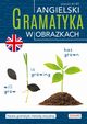 Angielski Gramatyka w obrazkach, 