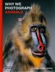 Why We Photograph Animals, Lewis-Jones Huw