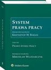 System Prawa Pracy. TOM VIII. Prawo rynku pracy, Tadeusz Kuczyski, Monika Latos-Mikowska, Krzysztof Walczak, Walerian Sanetra, Anna Kosut, Leszek Mitrus, Piotr Grzebyk, Dariusz Makowski, Pawe Czarnecki, Dominik Wajda, Krzysztof lebzak, Karolina Stopka, Elbieta Ura, Marcin Wujczyk, Krzysztof Wojciec