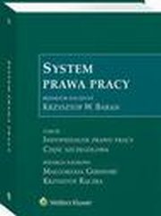 System prawa pracy. Tom III. Indywidualne prawo pracy. Cz szczegowa, Magorzata Gersdorf, Krzysztof Rczka, Krzystof W. Baran