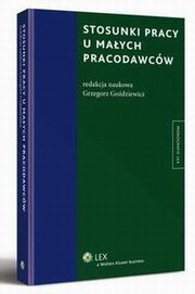 Stosunki pracy u maych pracodawcw, Grzegorz Godziewicz