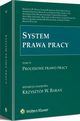 System prawa pracy. TOM VI. Procesowe prawo pracy, Krzysztof Wojciech Baran, Sawomir Cielak, Anna Machnikowska, Marcin Wujczyk, Magorzata Manowska, Tadeusz Kuczyski, ukasz Baszczak, Andrzej M. witkowski, Andrzej Marian witkowski, Andrzej Torbus, Micha Skpski, Andrzej Dziadzio, Kinga Flaga-Gier