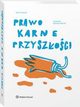 Prawo karne przyszoci, Kamil Mamak